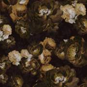 Bloom Gold