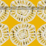 Prospectus Yellow