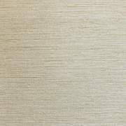 P3COA60263