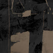 BRUL T2SS04