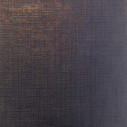PAS47847
