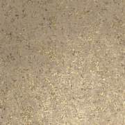 UNC52850